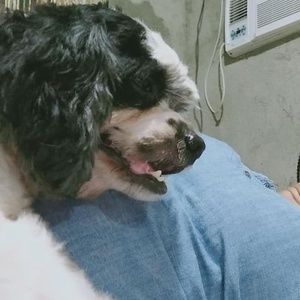 Meet your Posher, Pauline marie